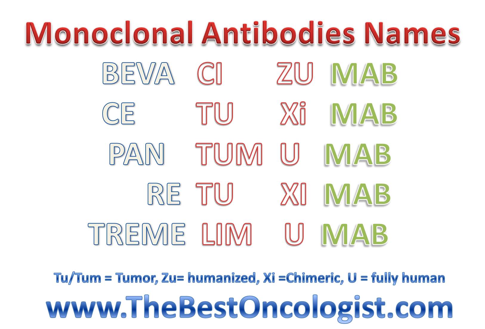 Monocolonal Antibody Name Structure