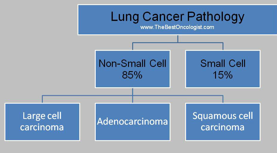 Lung Cancer Pathology