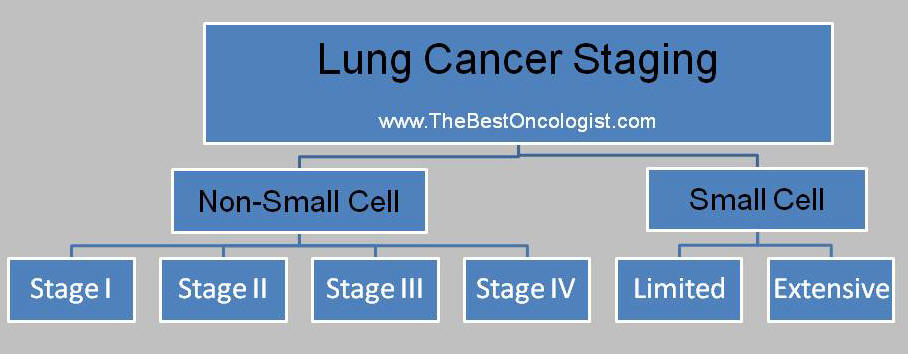 lung cancer staging schema